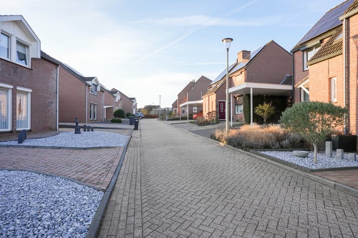 Foto 33 van Weideklokje 12