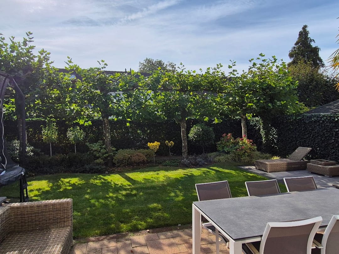 Foto 43 van Thorbeckelaan 172