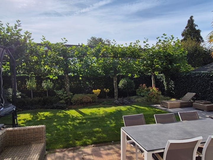 Photo 43 of Thorbeckelaan 172