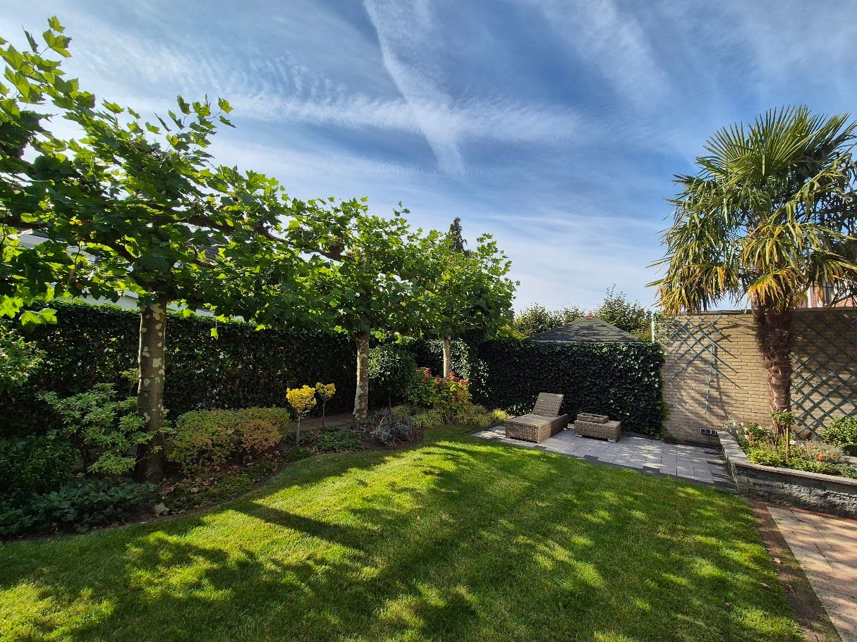 Foto 44 van Thorbeckelaan 172