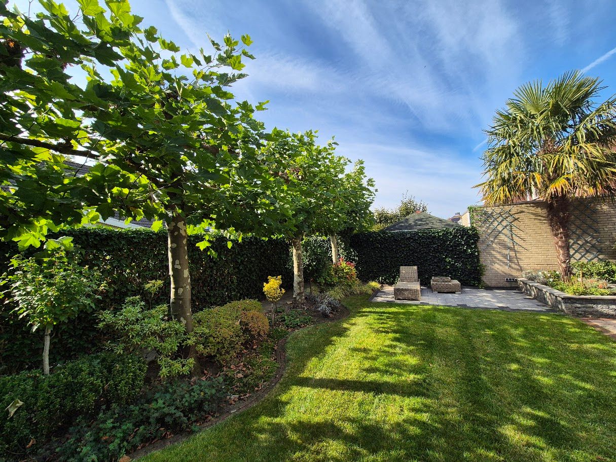 Foto 45 van Thorbeckelaan 172