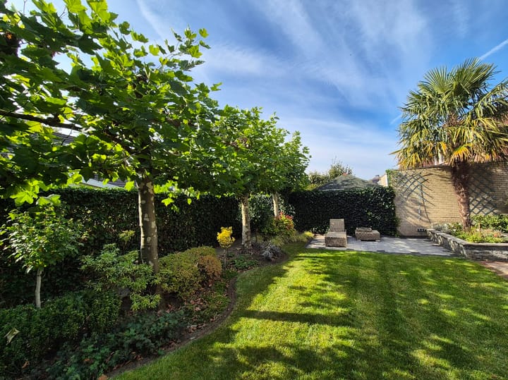 Photo 45 of Thorbeckelaan 172