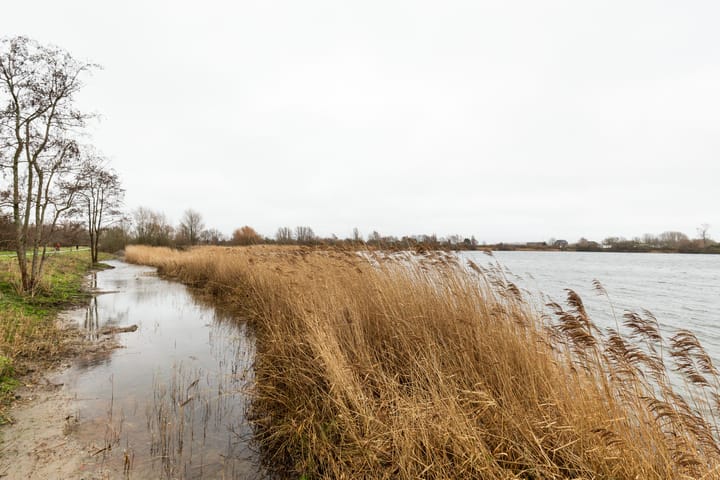 Photo 26 of Henckenshagen 16