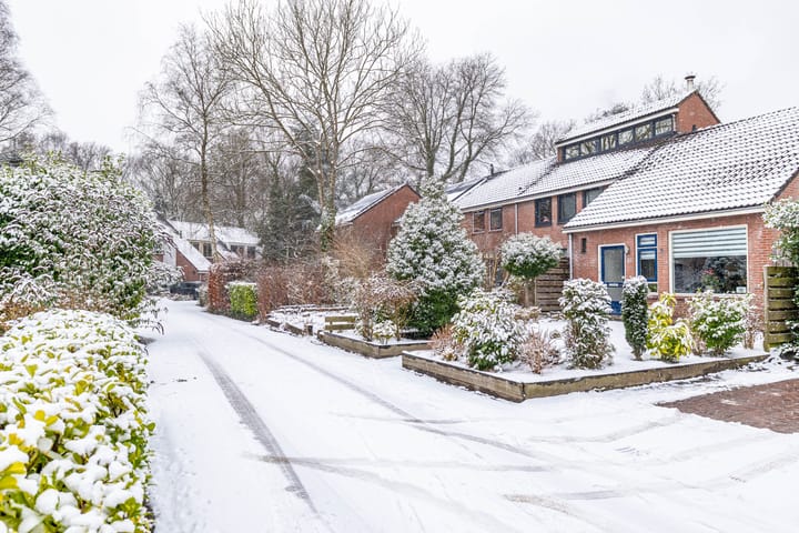 Foto 2 van Boskamp 6