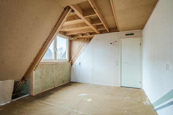 Foto 18 van Lupine 6