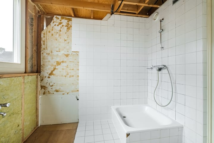 Foto 25 van Lupine 6