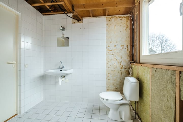 Foto 26 van Lupine 6