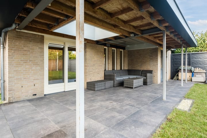 Foto 32 van Lupine 6