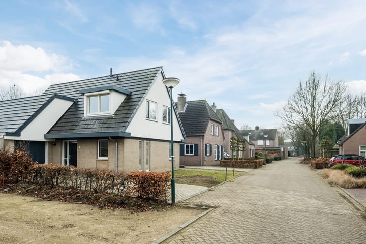 Foto 37 van Lupine 6