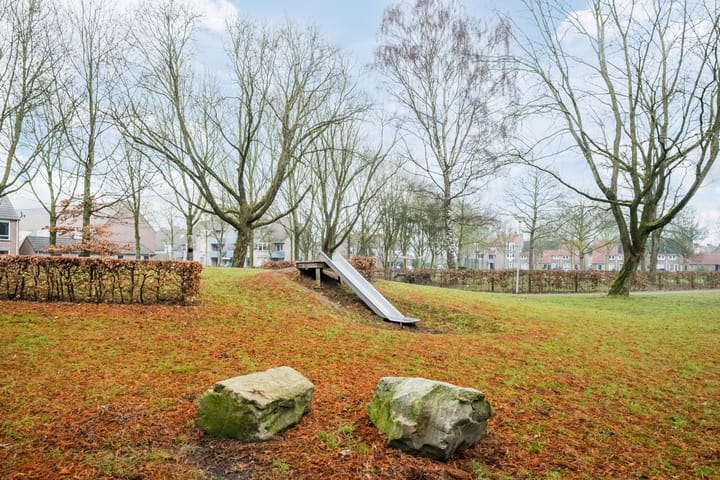 Foto 39 van Lupine 6