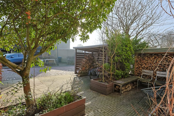 Photo 4 of Donsvlinder 50