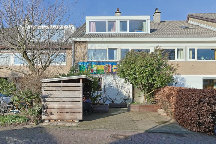 Photo 1 of Donsvlinder 50