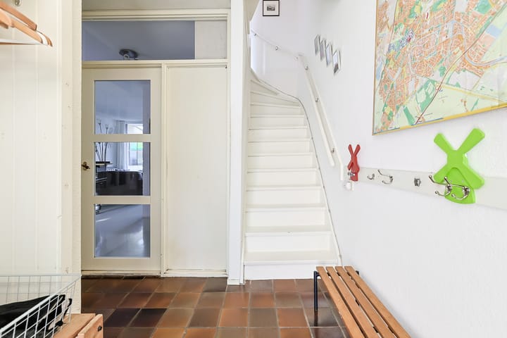 Photo 5 of Donsvlinder 50