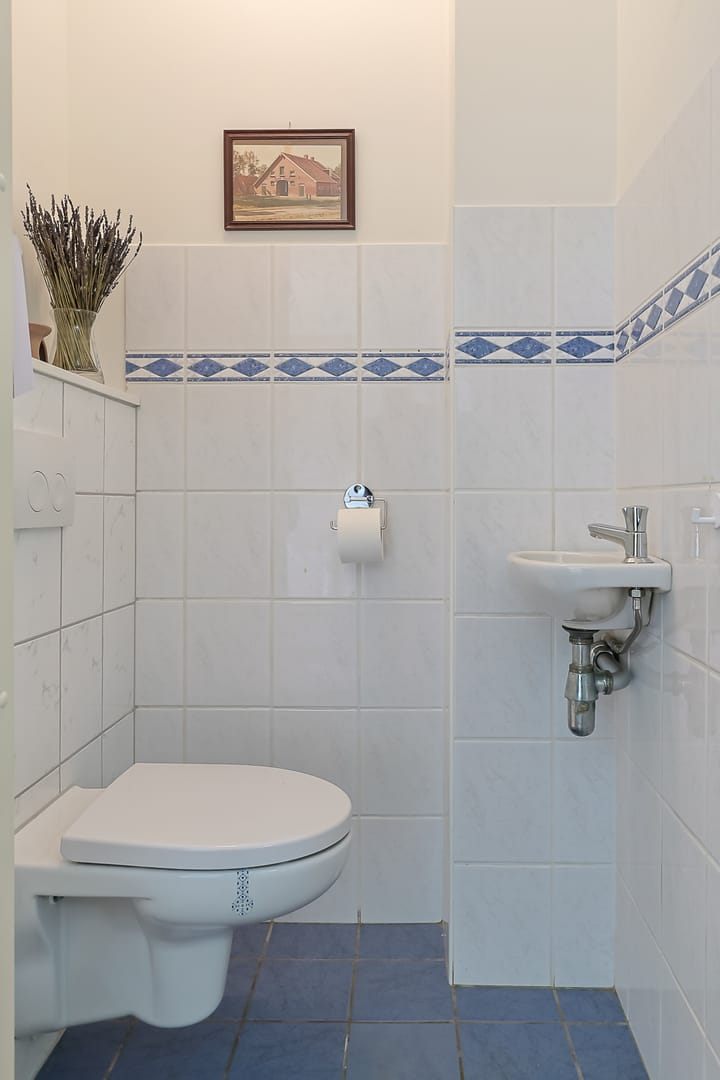 Photo 6 of Donsvlinder 50