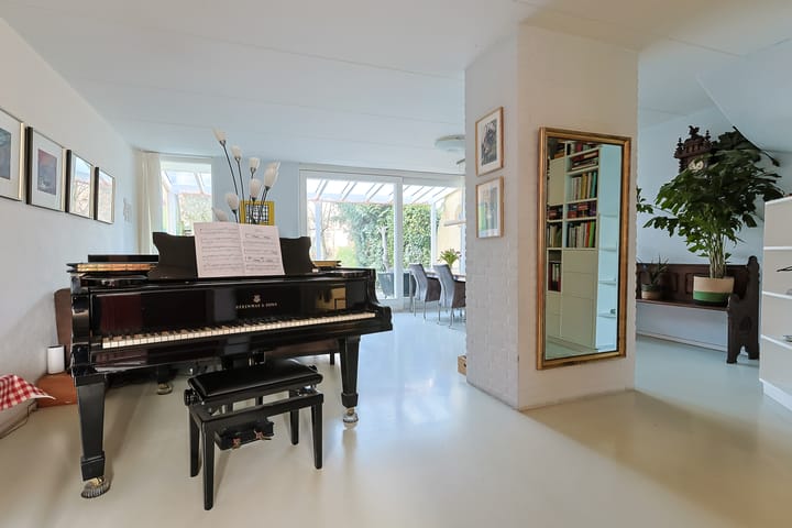 Photo 8 of Donsvlinder 50