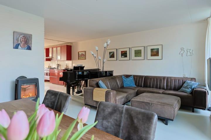 Photo 12 of Donsvlinder 50