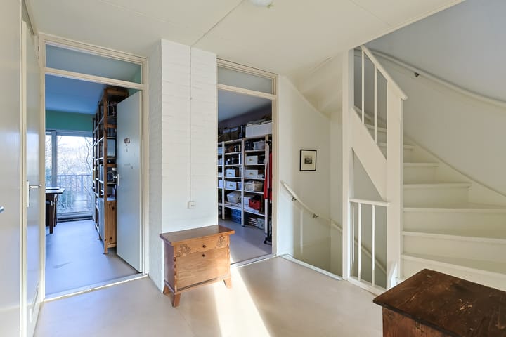 Photo 15 of Donsvlinder 50