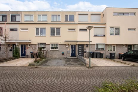 Chico Mendesring thumbnail