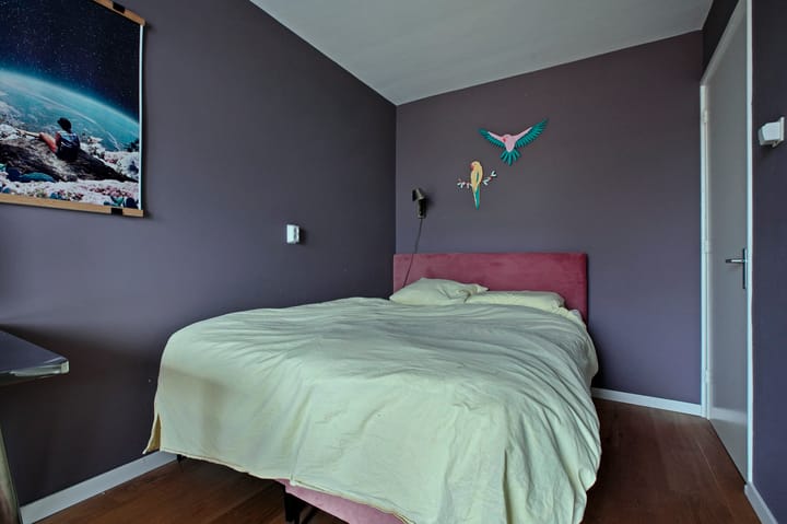 Foto 13 van Alkmaarstraat 249