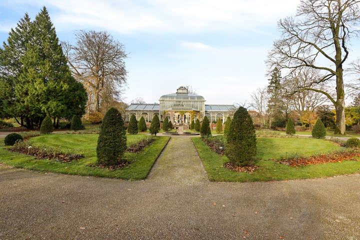 Foto 33 van Zuiderstraat 6