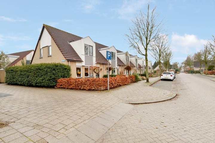 Foto 6 van Vossebes 3