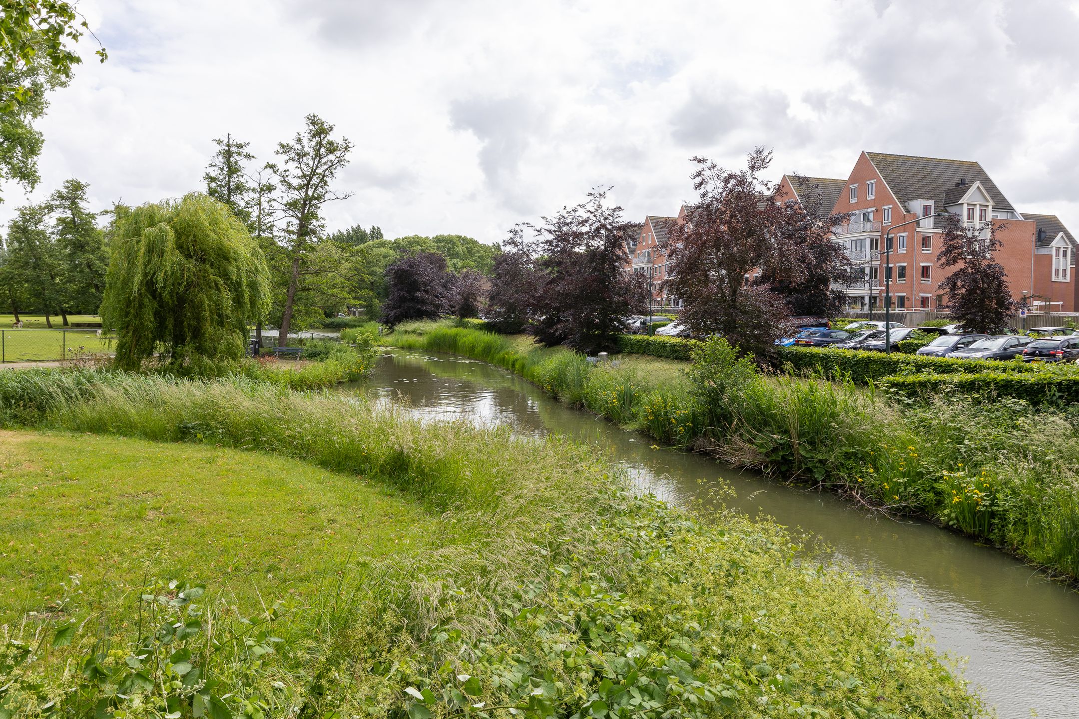 Foto 45 van Zuiderplantsoen 35