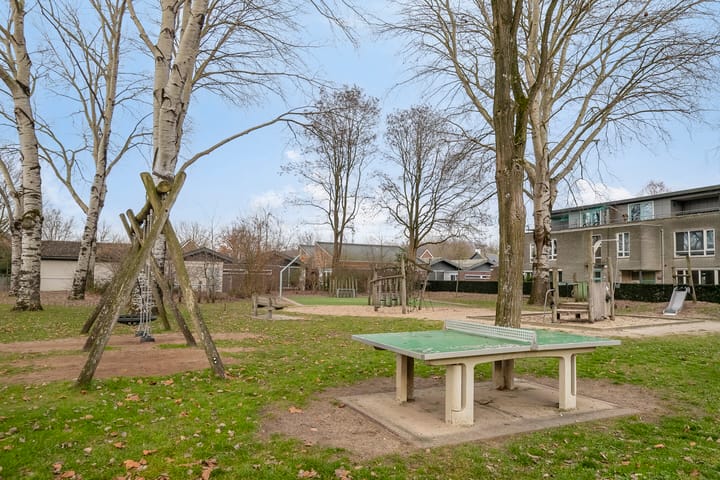 Foto 35 van Lodeizenstraat 9