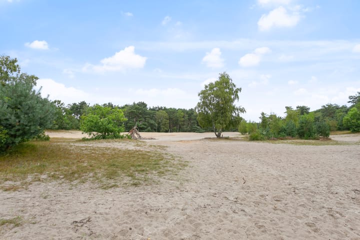 Foto 39 van Lodeizenstraat 9