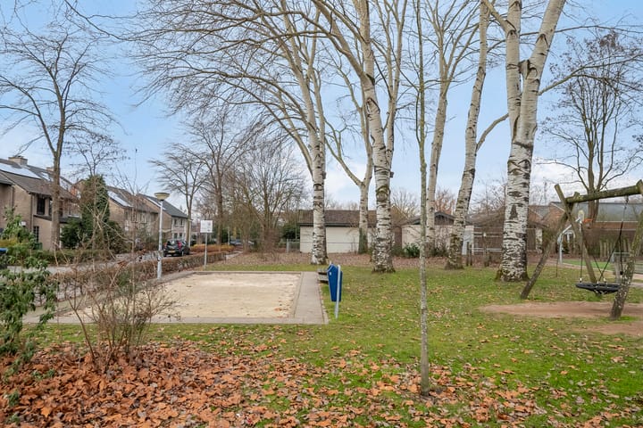 Foto 36 van Lodeizenstraat 9