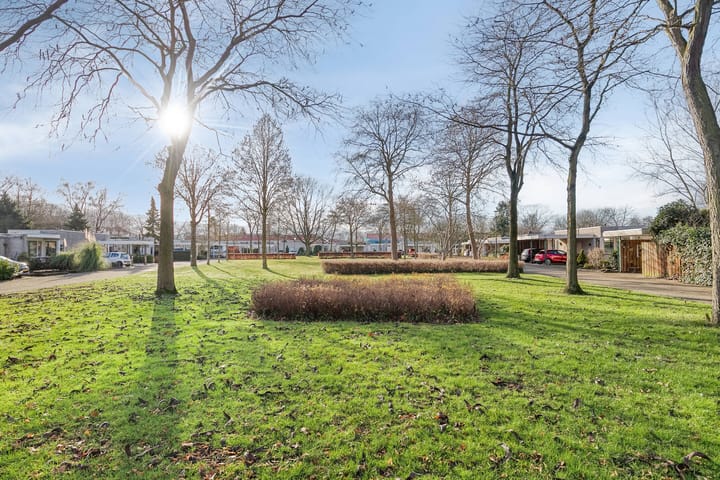 Foto 23 van Zonnebekestraat 11