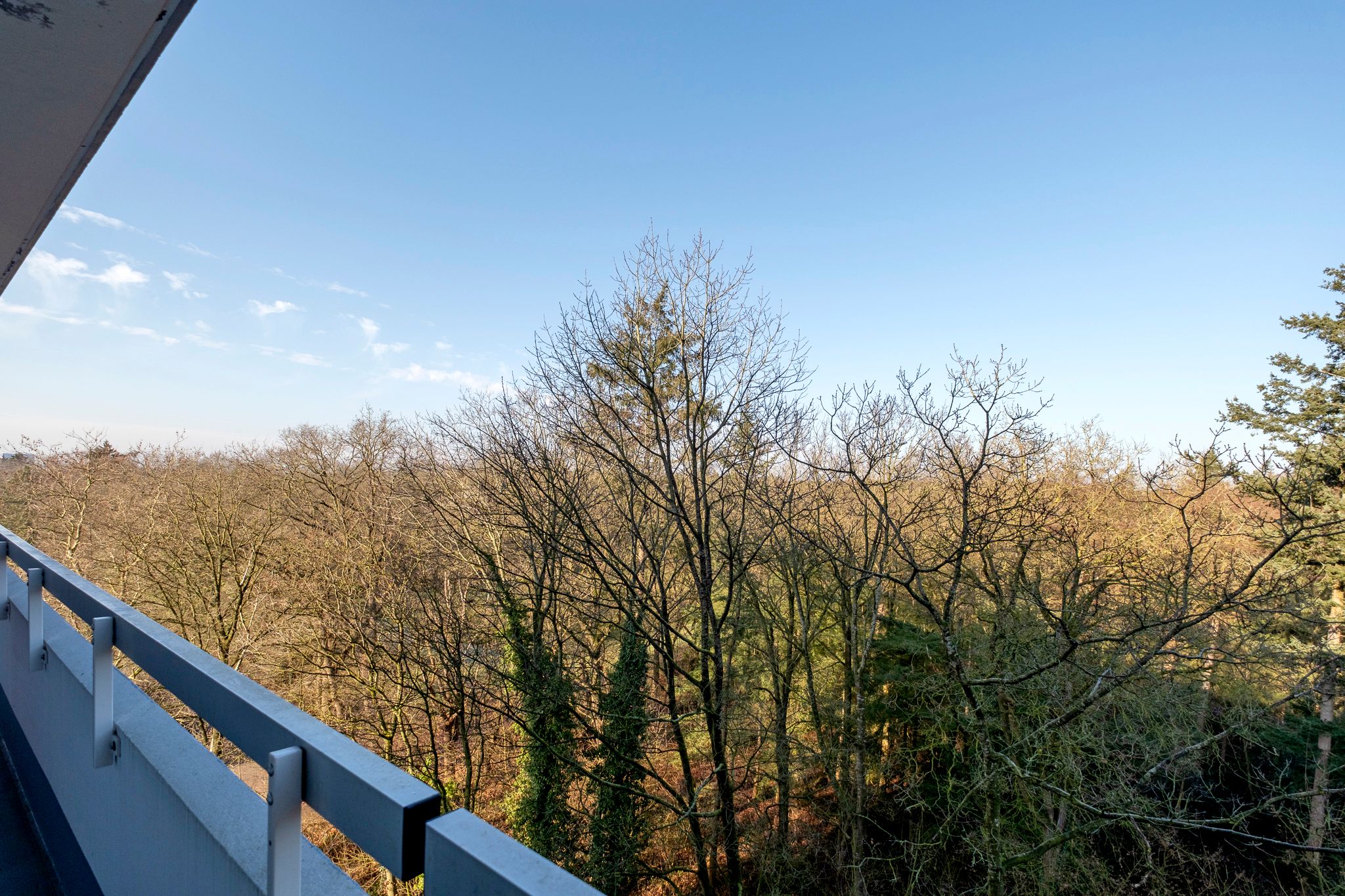 Foto 24 van Landschaplaan 123