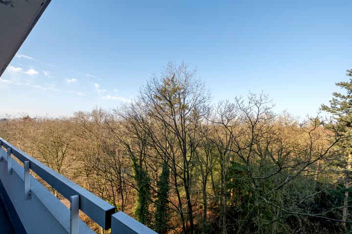 Foto 24 van Landschaplaan 123