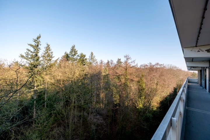 Foto 25 van Landschaplaan 123