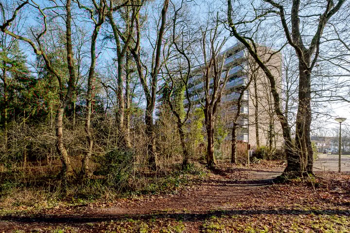 Foto 32 van Landschaplaan 123