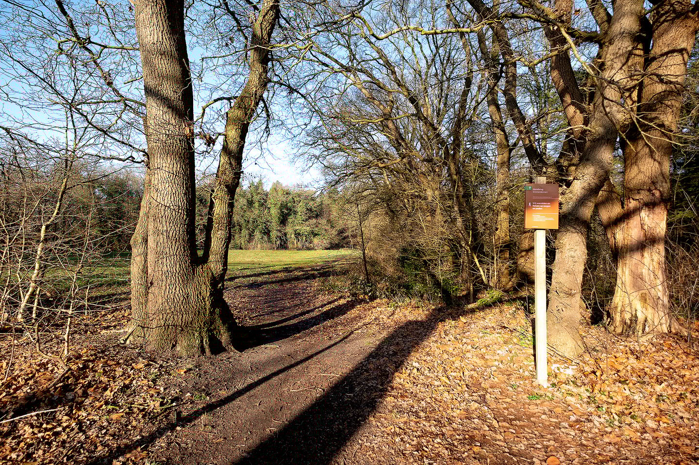 Foto 34 van Landschaplaan 123