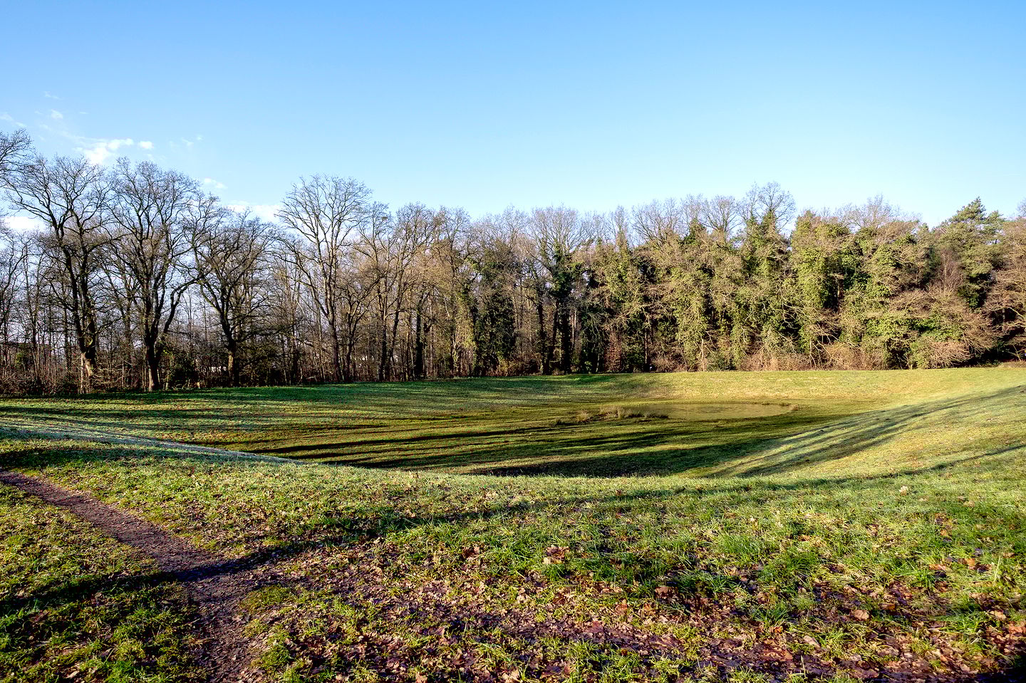 Foto 35 van Landschaplaan 123