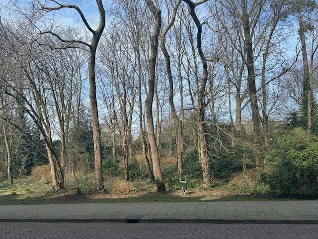 Foto 3 van Delistraat 43