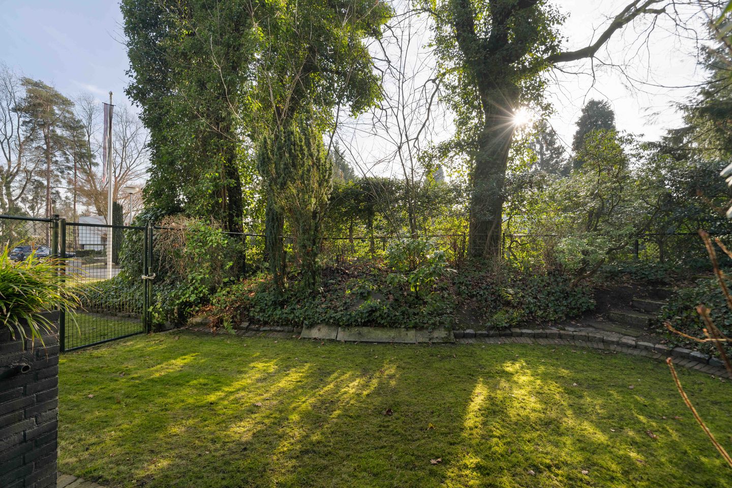 Foto 49 van Tooroplaan 6