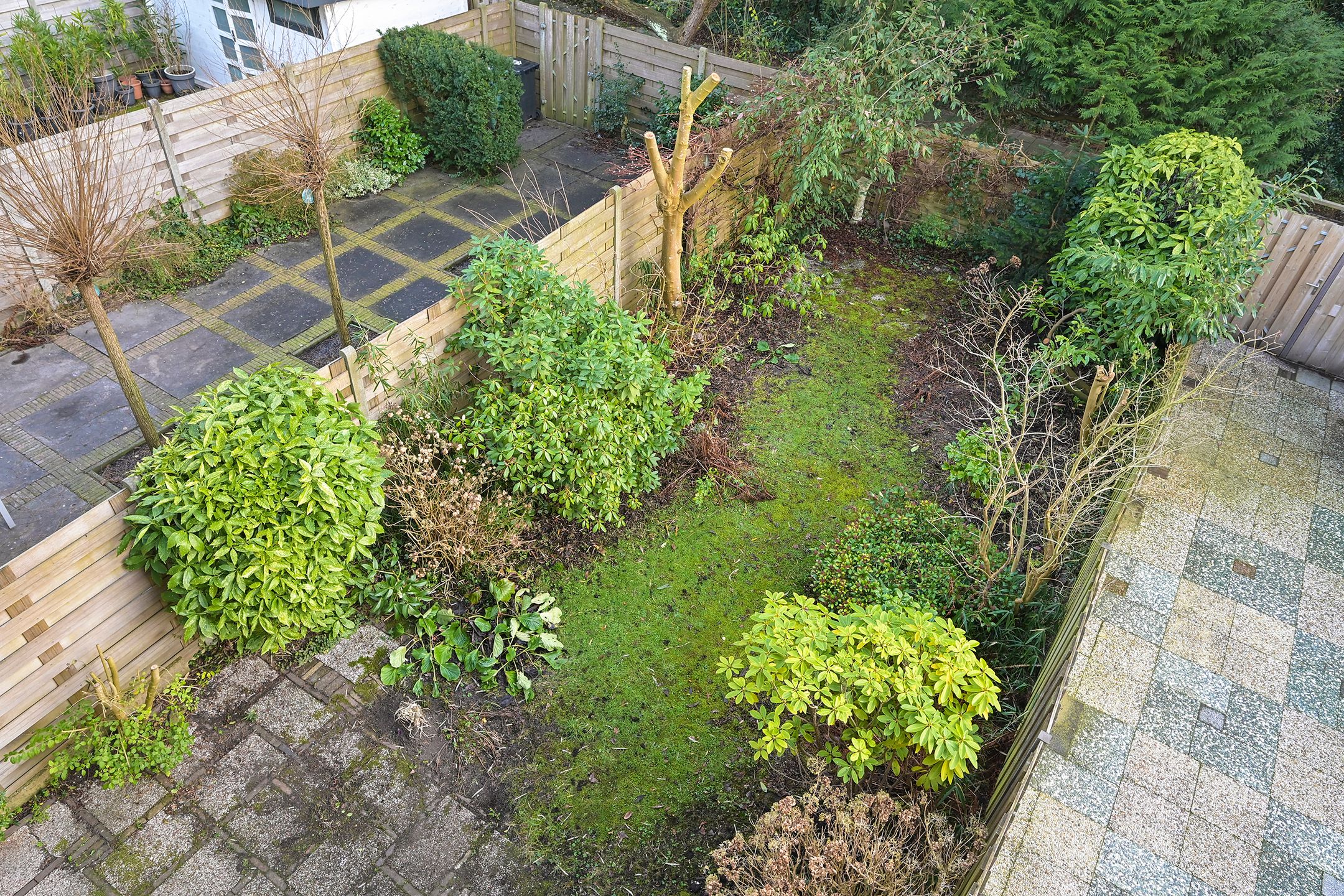 Foto 3 van Patrijslaan 133