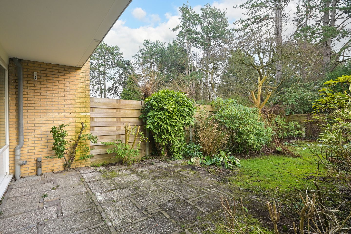 Foto 20 van Patrijslaan 133