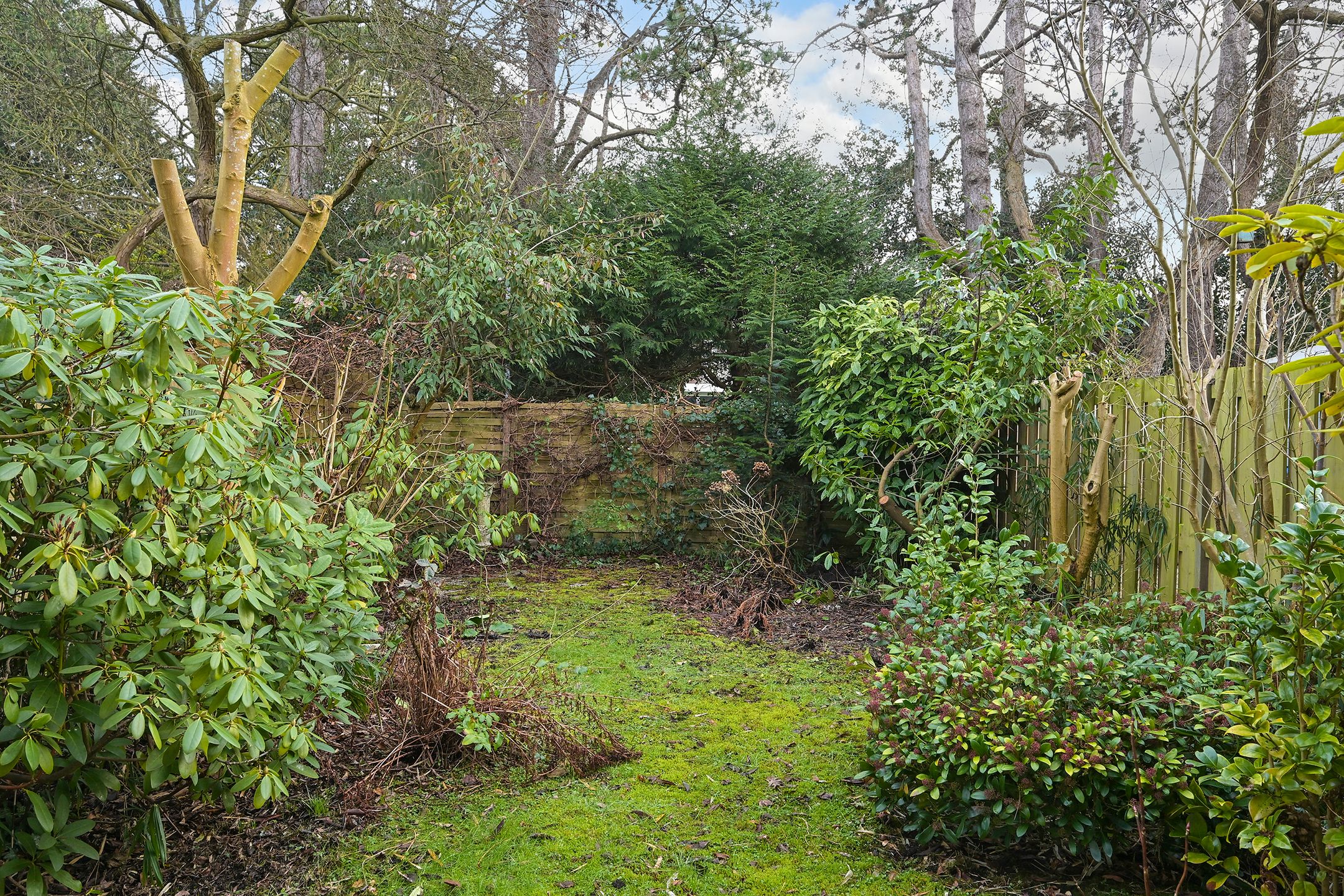 Foto 21 van Patrijslaan 133