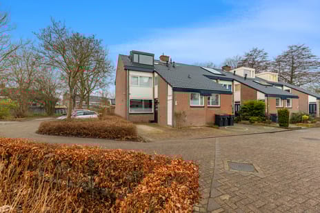 Straalsteen thumbnail