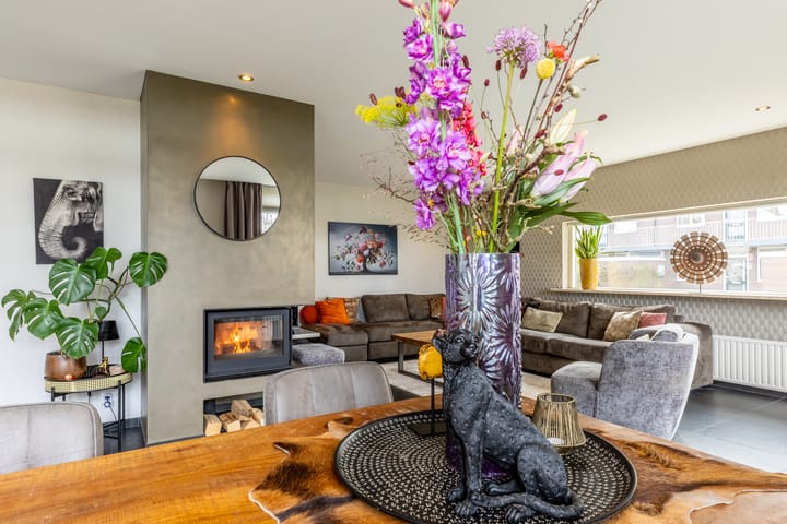 Foto 23 van Bolkafstraat 11