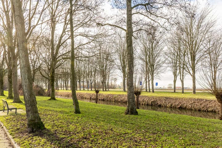 Foto 53 van Bolkafstraat 11