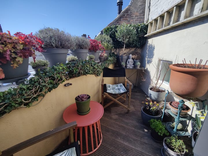 Foto 53 van Bogardstraat 16