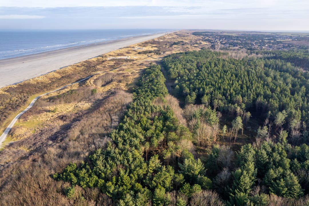 Foto 38 van Strandweg 51-031