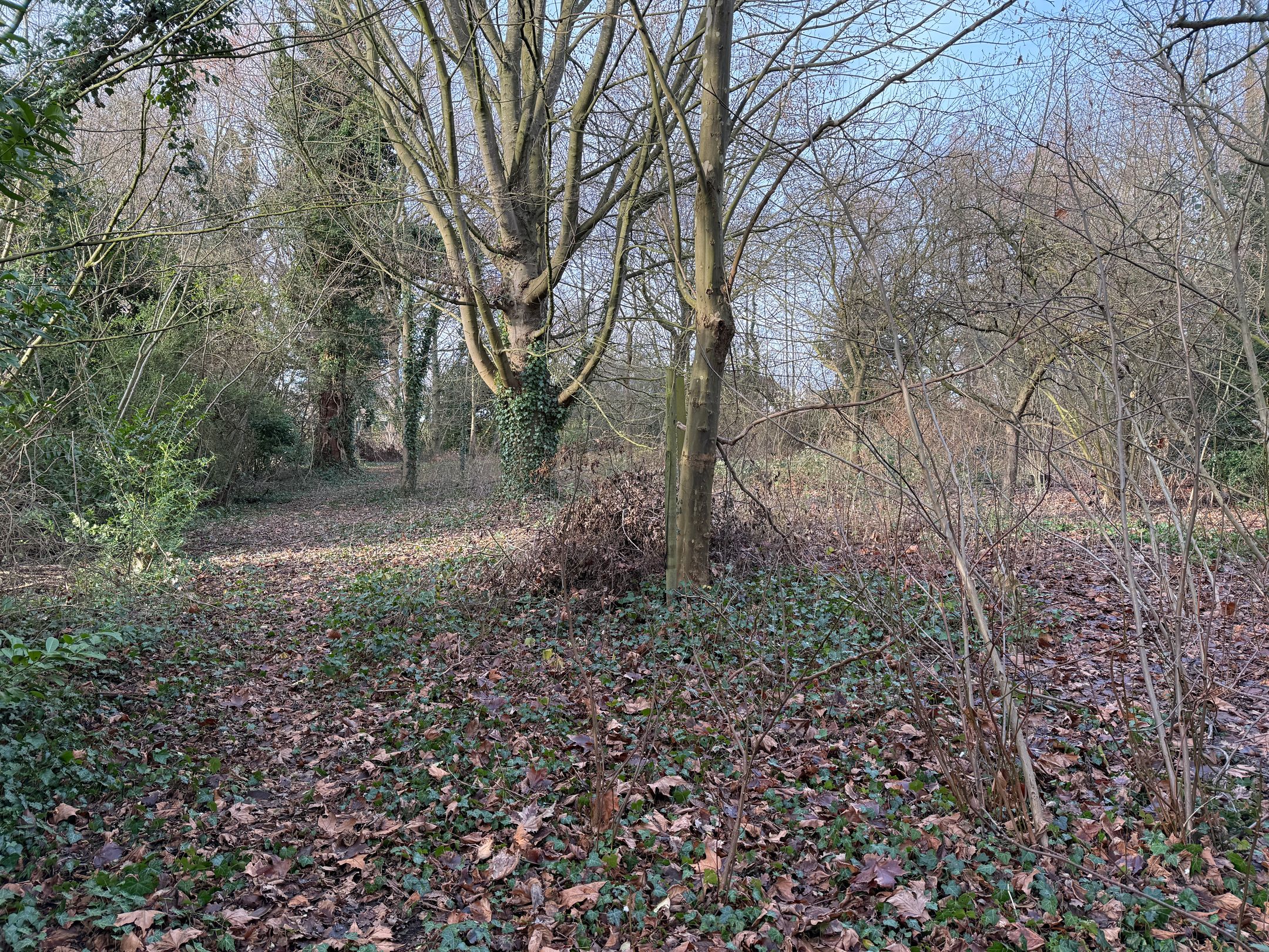 Photo 6 of Poeldonk
