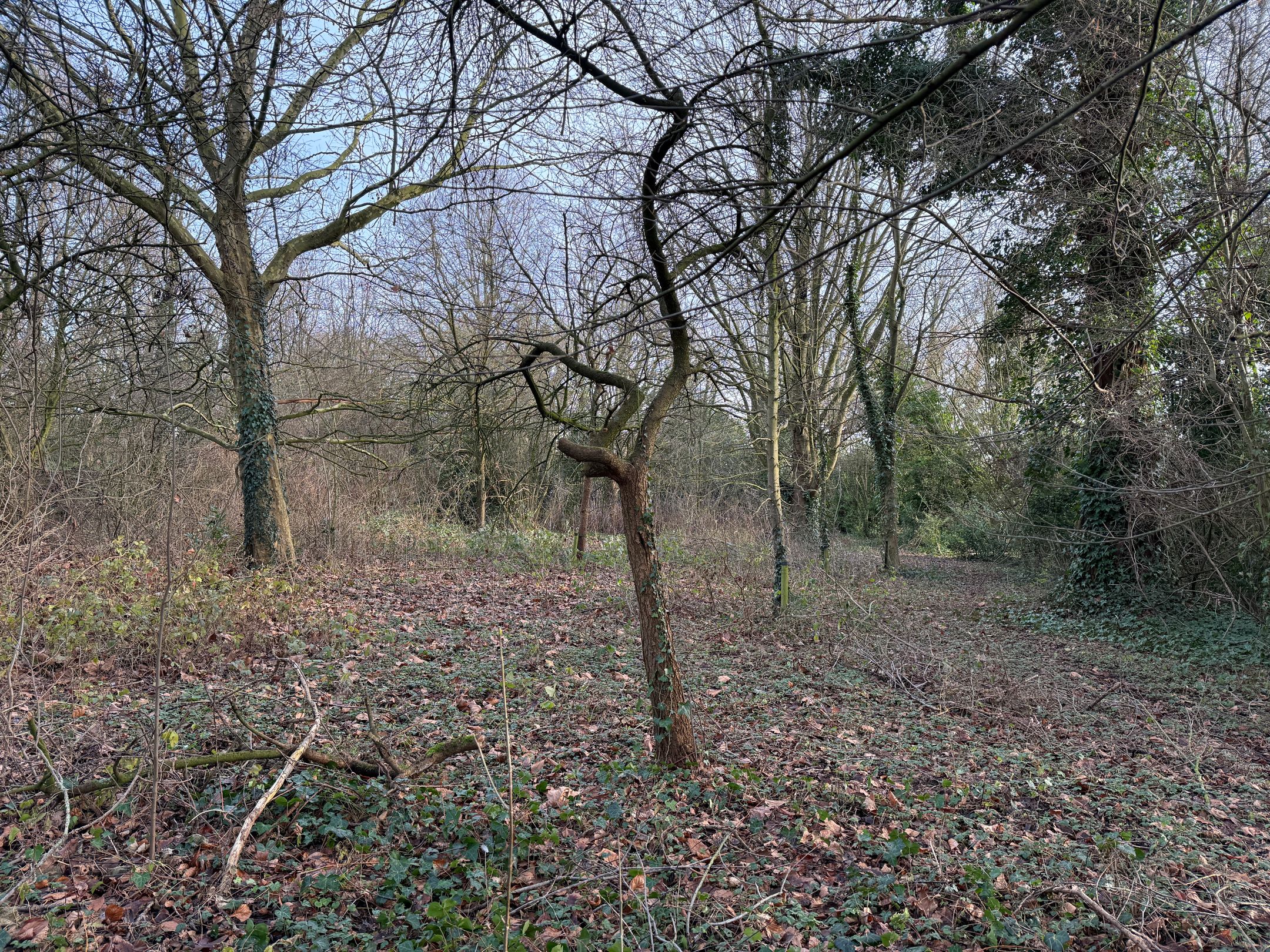 Photo 9 of Poeldonk