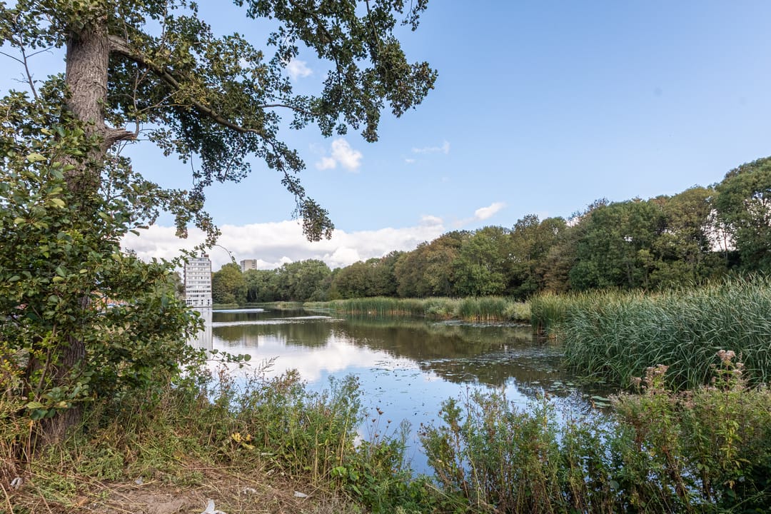 Photo 41 of Van Moorselplantsoen 18