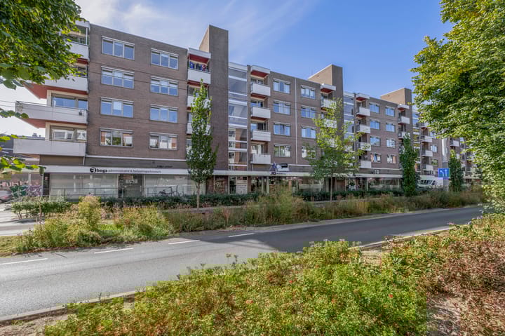 Ir J.P. van Muijlwijkstraat 190